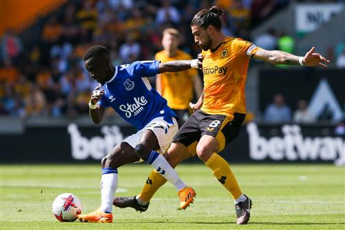 狼队 vs 埃弗顿